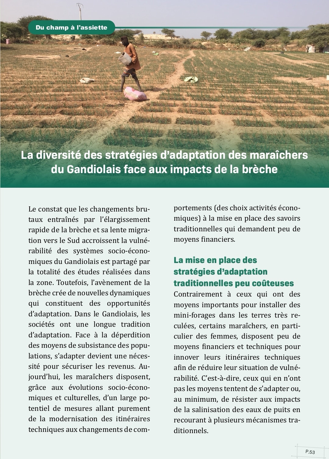 You are currently viewing Stratégies d’adaptation des maraîchers du Gandiolais face aux impacts de la brèche.